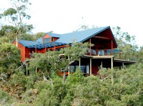 Tree house
