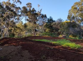 Siteworks & driveway taking shape