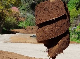 Drilling the pole holes
